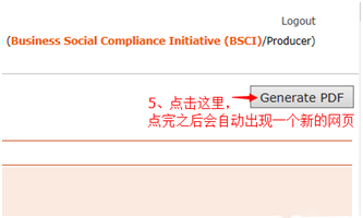 BSCI完整報(bào)告